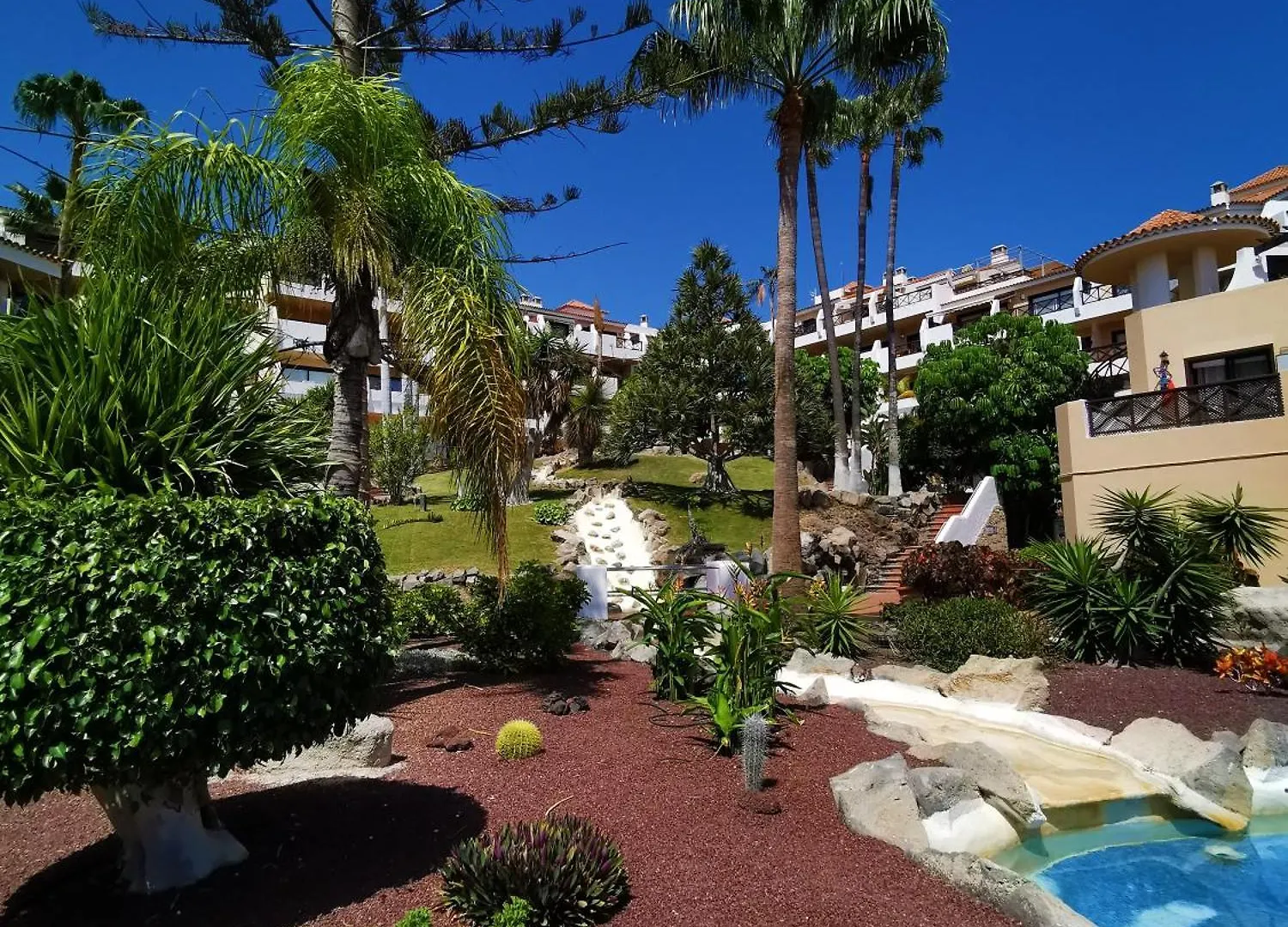 סן מיגל דה אבונה Strelitzia Apartment - Ocean View & Heated Pool סן מיגל דה אבונה